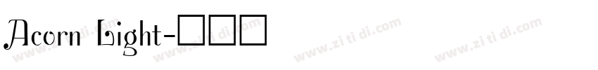 Acorn Light字体转换